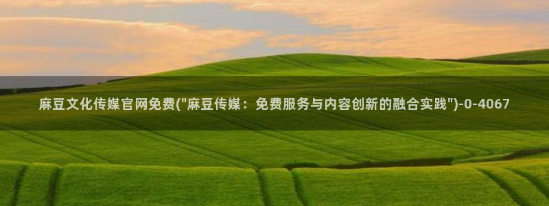 麻豆SEO关键词
