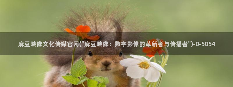 麻豆系列视频