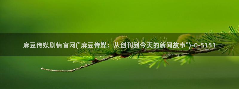 麻豆传媒