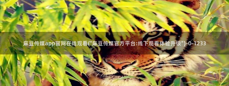 麻豆系列视频