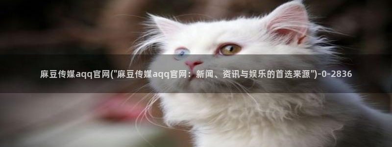 麻豆自定义库