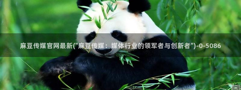 麻豆精选标题