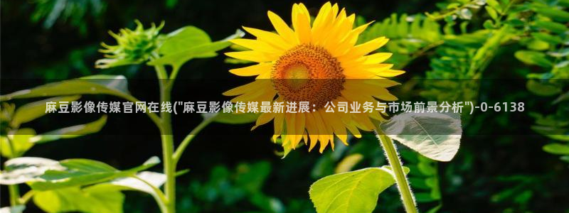 麻豆内容整理