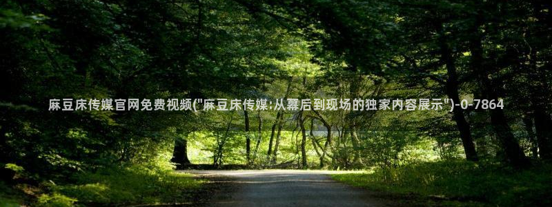 麻豆视频栏目规划