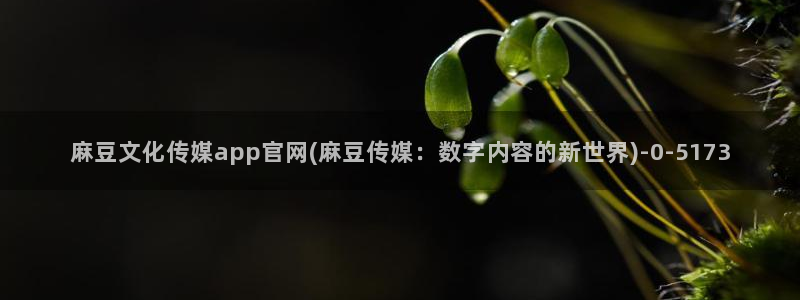 麻豆新片速递