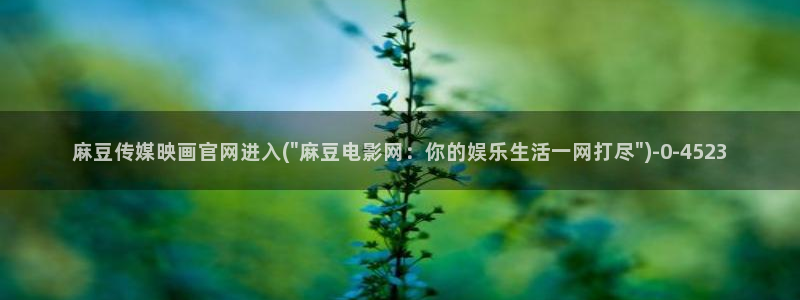 麻豆视频自然标题：麻豆传媒映画官网进入(\