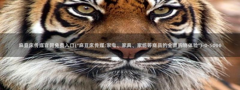 麻豆情感剧情：麻豆床传媒官网免费入口(\
