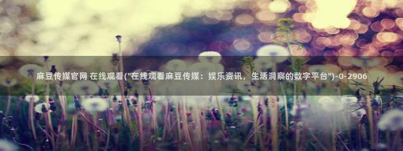 麻豆视频分类：麻豆传媒官网 在线观看(\