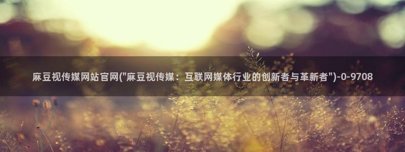 麻豆视频目录