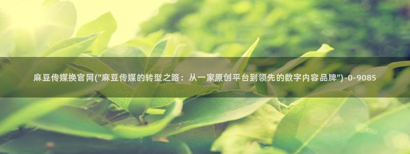 麻豆视频网：麻豆传媒换官网(\