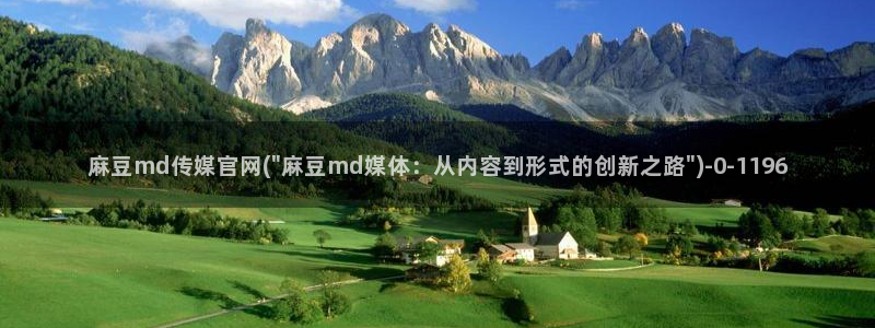 麻豆传媒在线观看