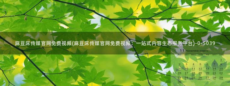 麻豆视频页面描述