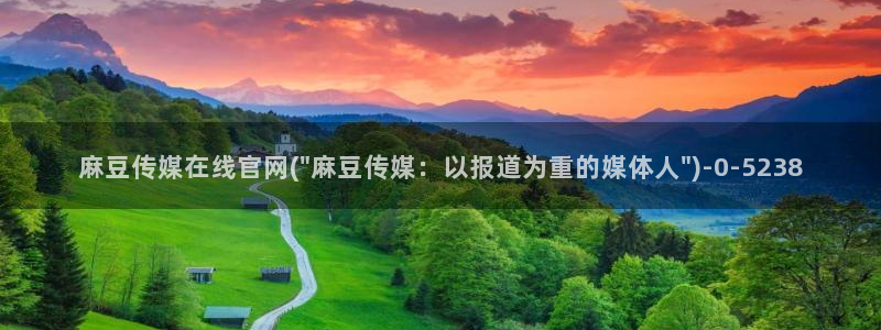 麻豆视频资料文案