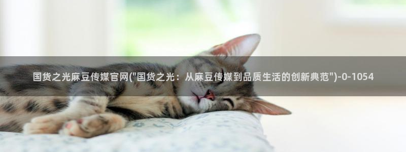 麻豆图片库：国货之光麻豆传媒官网(\