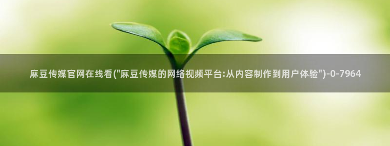 麻豆视频图片规则
