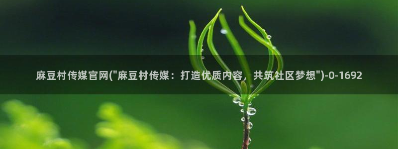 麻豆传媒合集：麻豆村传媒官网(\