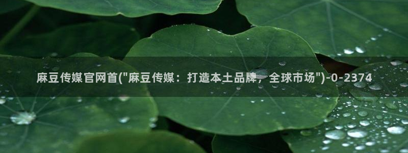 麻豆精选标题：麻豆传媒官网首(\
