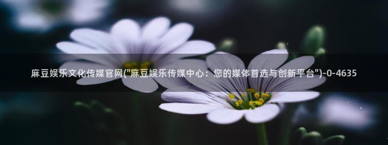 麻豆站内搜索