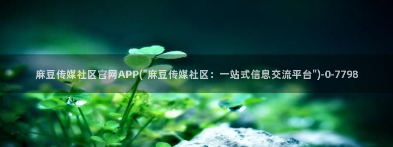 麻豆视频内容维护