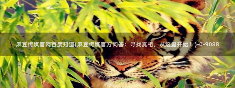 麻豆视频自然描述