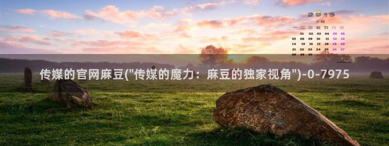 麻豆视频资料维护