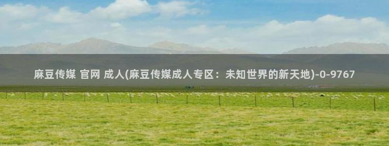 麻豆视频分类规则