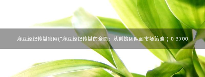 麻豆视频搜索词：麻豆经纪传媒官网(\