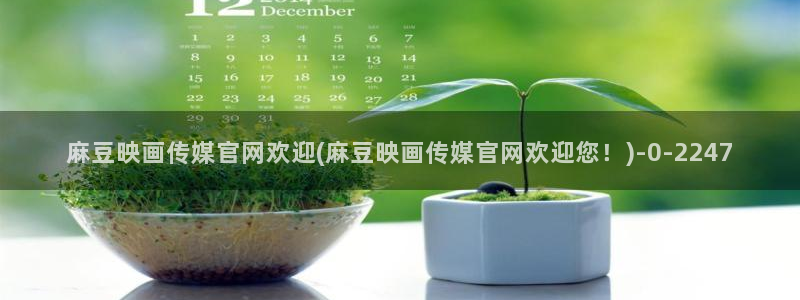 麻豆影视：麻豆映画传媒官网欢迎(麻豆映画传媒官网欢迎您！)
