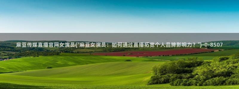 麻豆指南页