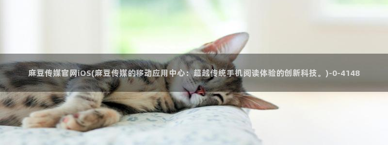 麻豆视频栏目文案