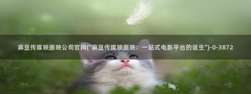麻豆视频榜单