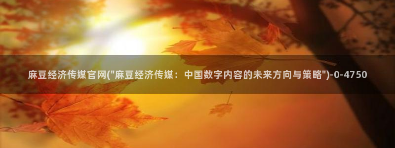 麻豆视频低竞争词：麻豆经济传媒官网(\