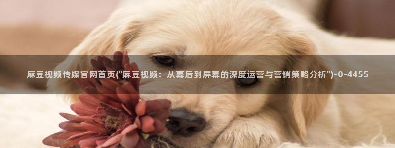 麻豆视频标题规则：麻豆视频传媒官网首页(\