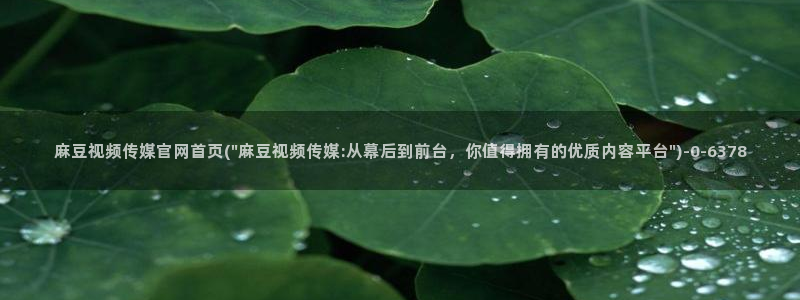 麻豆榜单标题