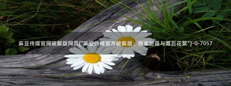 麻豆新片