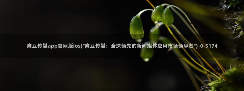 麻豆榜单标题