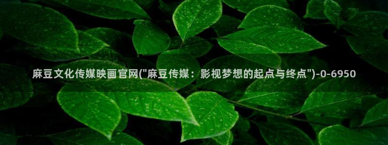 麻豆短片：麻豆文化传媒映画官网(\
