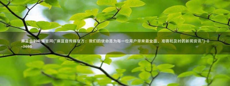 麻豆视频图片规则
